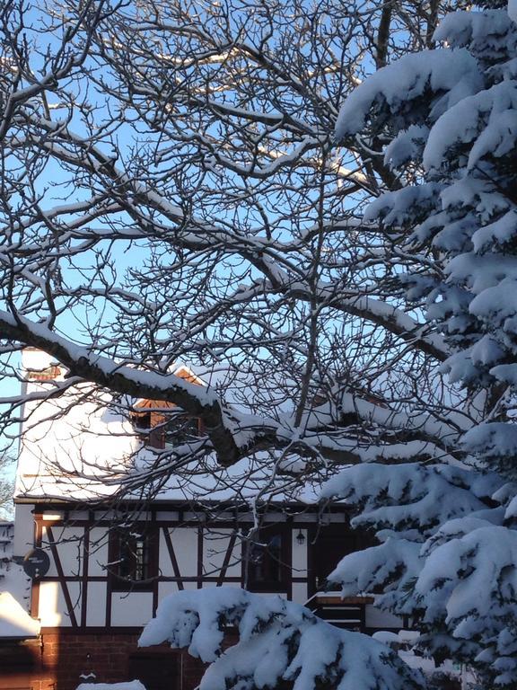 Ferienhaus Annabell Weisbach  ภายนอก รูปภาพ